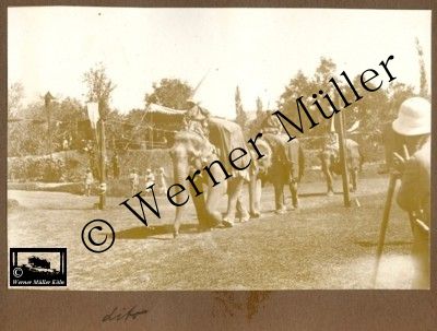 Elefantenrennen Pagman Kabul Afghanistan