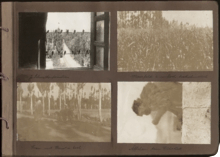 Fensterausblick Afghanistan Schwalben Mais Frau &Auml;ffchen