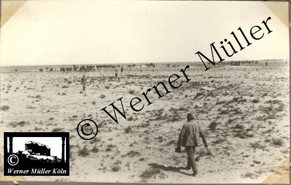 Foto Wilhelm Rieck , Afghanistan, Darulaman, Darul-Aman, Berlin, 1922, Amanullah, Rieck, Kabul, Tape-Taj-Beg, Maass, Harten, Standke, Plessen, Kandahar, Horten, harten, Bau, Palast, Bazar, Timur Schah, Partschin, Parschin, Teheran, Persien, Iran, aden, Vesuv, Neapel, Bombay, Maass, Bagman, Grobba, Gerber, Burg, wandgem&auml;lde, K&ouml;nigszimmer, Elefantenrennen, B&uuml;nte, Fensterblick, Winter, Reiterverein, Grantham, Suraija, Turmzimmer, Suez, Lyzeum, Schl&uuml;terstr, Berlin, Sancoussi, Potsdam, Schlossd&auml;cher, Schlossdach, Schachpartner, Kupfterd&auml;cher, Kupfterdach, K&ouml;niglich Afghanischen Gesandtschaft, Berlin-Moabit, Alim Khan, Emir von Buchara, Lalander, Thaj Mahal, Agra, Parron, Baron Plessen, Mehl-Bazar, Mehlh&auml;ndler, Obsth&auml;ndler, Zuckerb&auml;cker, Silberschmiede, Habibullah, Bank Ottoman, Pulverfabrik, Uran-Wiederaufbereitungsanlagen, F13, Gallipoli, 